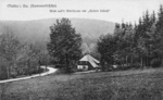 1n01sw1_19xx_Waldwaerterhaus_v.jpg