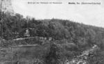 1n06sw1_1915_Waldpark_v.jpg