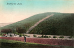 8n42ff1_1911_Burgberg_v.jpg